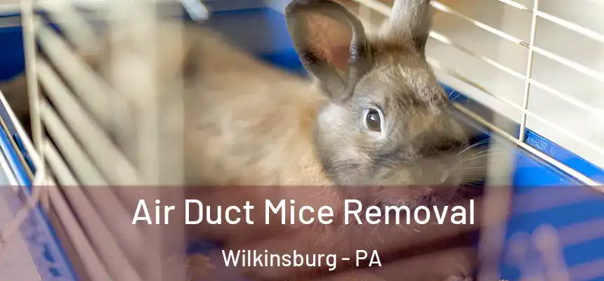 Air Duct Mice Removal Wilkinsburg - PA