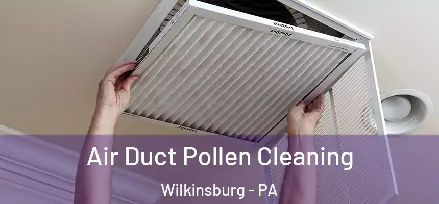  Air Duct Pollen Cleaning Wilkinsburg - PA