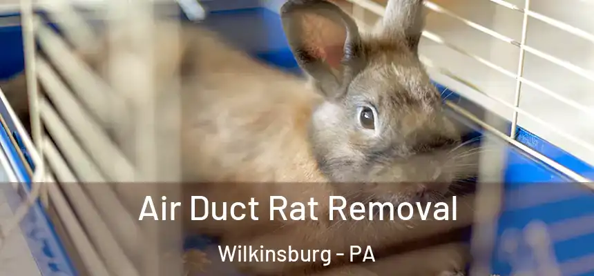  Air Duct Rat Removal Wilkinsburg - PA