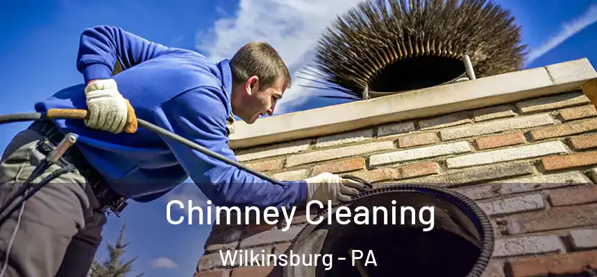  Chimney Cleaning Wilkinsburg - PA