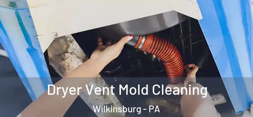  Dryer Vent Mold Cleaning Wilkinsburg - PA