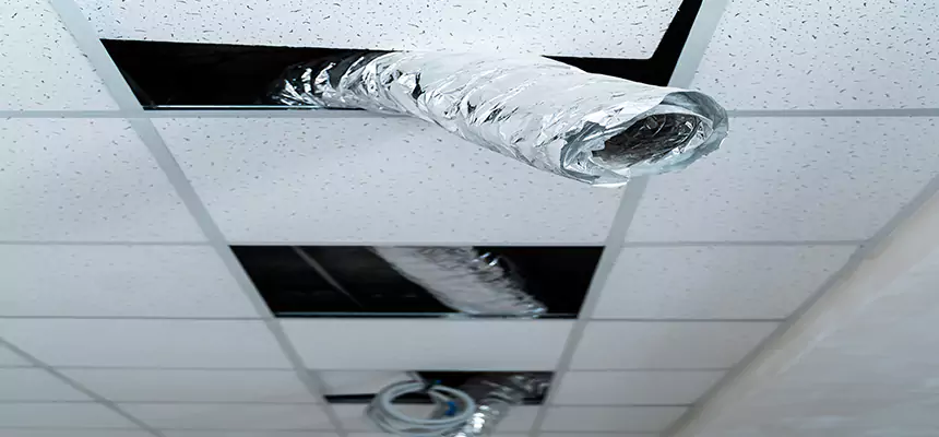 Our Air Duct Pet Hair Removal Services in Wilkinsburg, PA