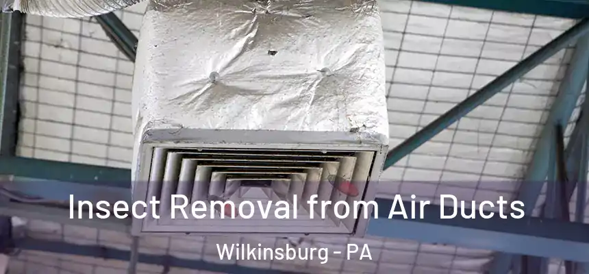  Insect Removal from Air Ducts Wilkinsburg - PA