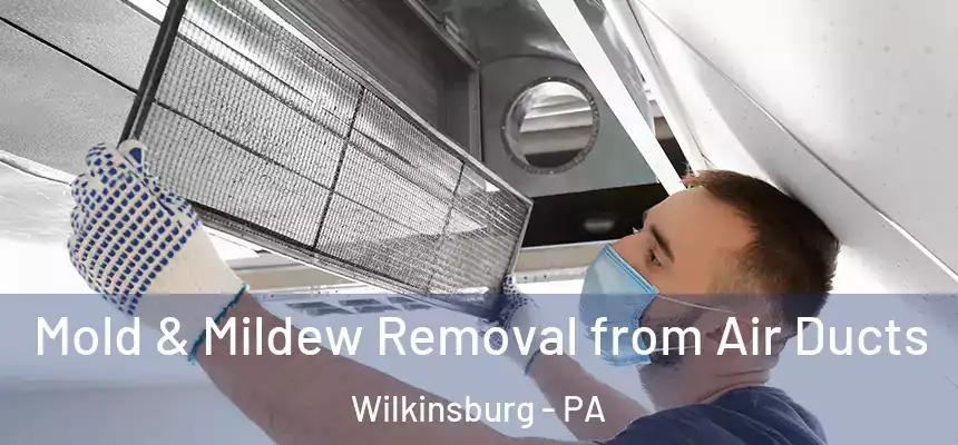  Mold & Mildew Removal from Air Ducts Wilkinsburg - PA