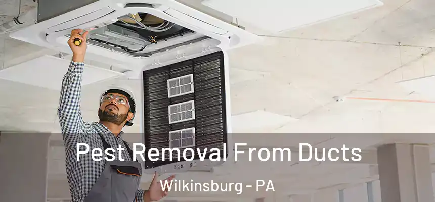  Pest Removal From Ducts Wilkinsburg - PA