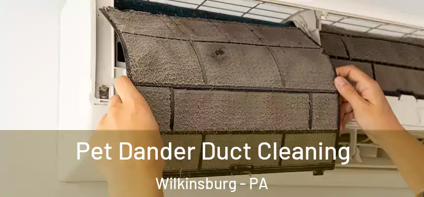  Pet Dander Duct Cleaning Wilkinsburg - PA