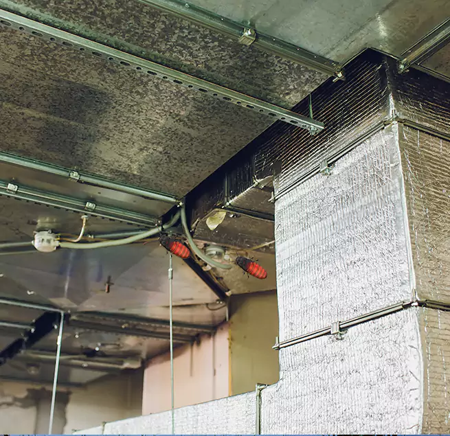 Why Homeowners & Businesses Trust Us in Wilkinsburg, PA?