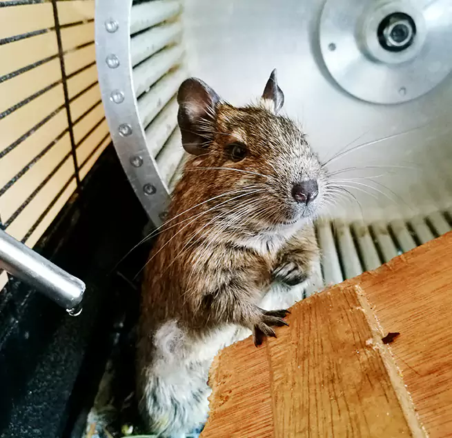 Why Homeowners & Businesses Trust Us Wilkinsburg, PA?