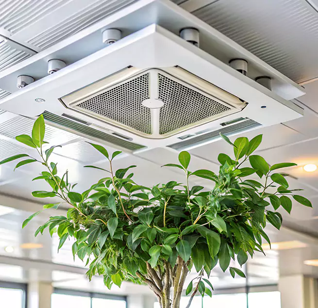 Why Homeowners & Businesses Trust Us in Wilkinsburg, PA?