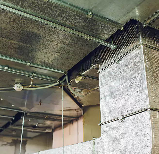 Why Homeowners & Businesses Trust Us in Wilkinsburg, PA?