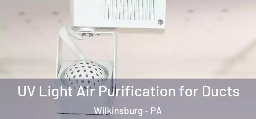  UV Light Air Purification for Ducts Wilkinsburg - PA